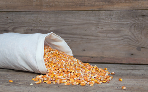 What can VAP and ImmuniVAP do as feed additives? | Feed Additives What can VAP and ImmuniVAP do as feed additives? | Feed Additives