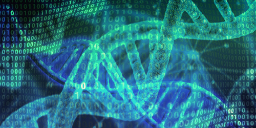 What can feed additives do for the battle against the virus? | Feed Additives What can feed additives do for the battle against the virus? | Feed Additives