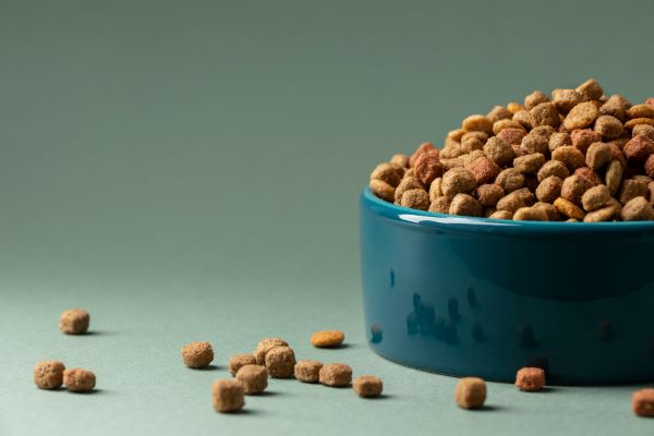 What are the different types of dog food additives available nowadays?