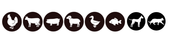 森牧-動物圖