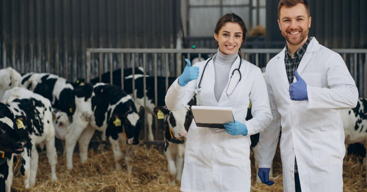 What Types of Livestock Feed Additives do You Need?